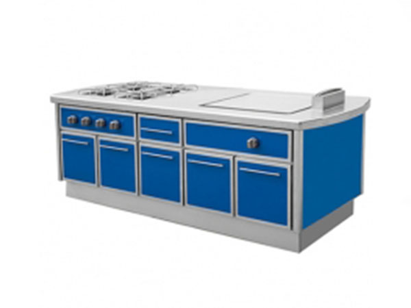 燃气四头平头炉连扒炉组合